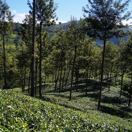 Oyo 238 Selva'S Guest House Nuwara Eliya Zewnętrze zdjęcie
