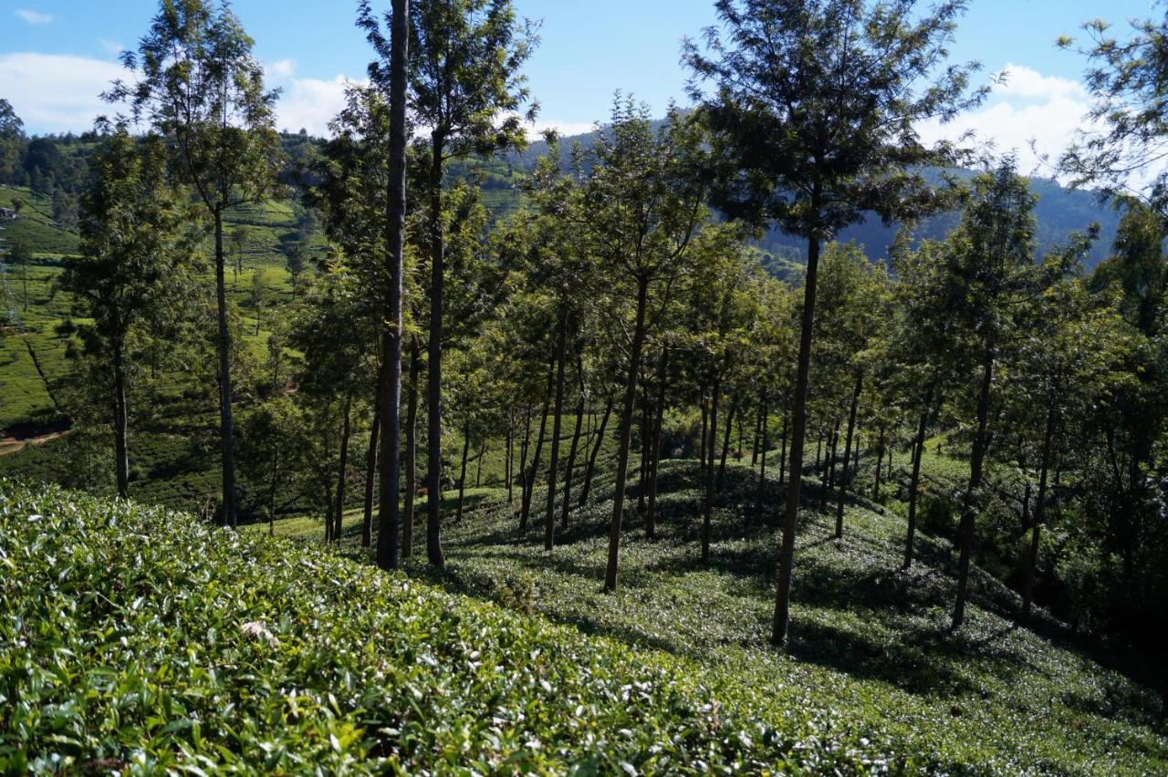 Oyo 238 Selva'S Guest House Nuwara Eliya Zewnętrze zdjęcie